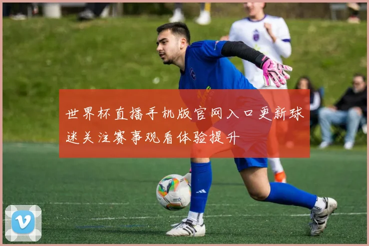 世界杯直播手机版官网入口更新球迷关注赛事观看体验提升