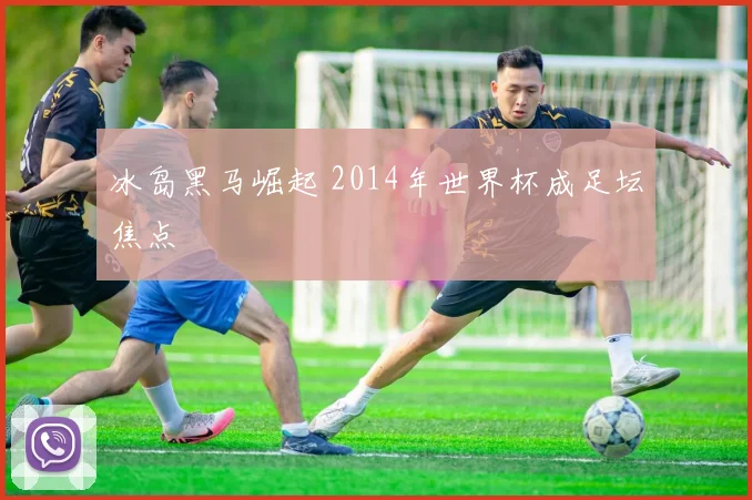 冰岛黑马崛起 2014年世界杯成足坛焦点