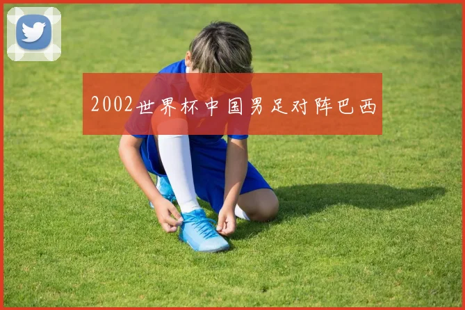2002世界杯中国男足对阵巴西