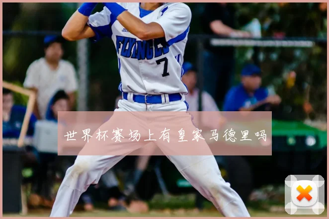 世界杯赛场上有皇家马德里吗