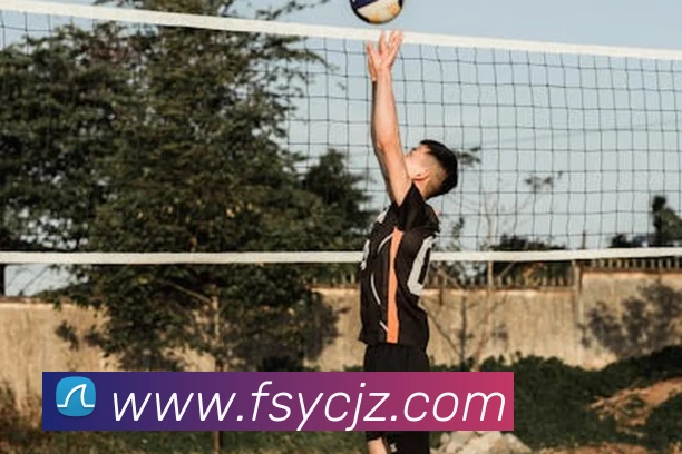 hth.com网页版平台生态图